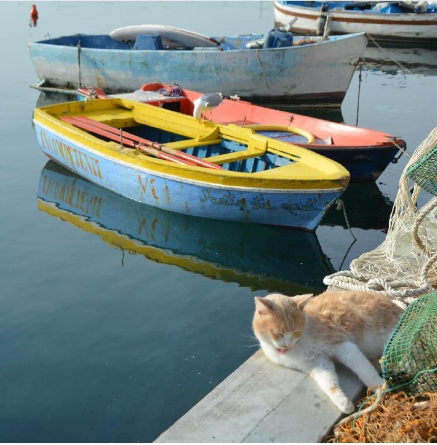 Maridea Lägenhet Procida Exteriör bild